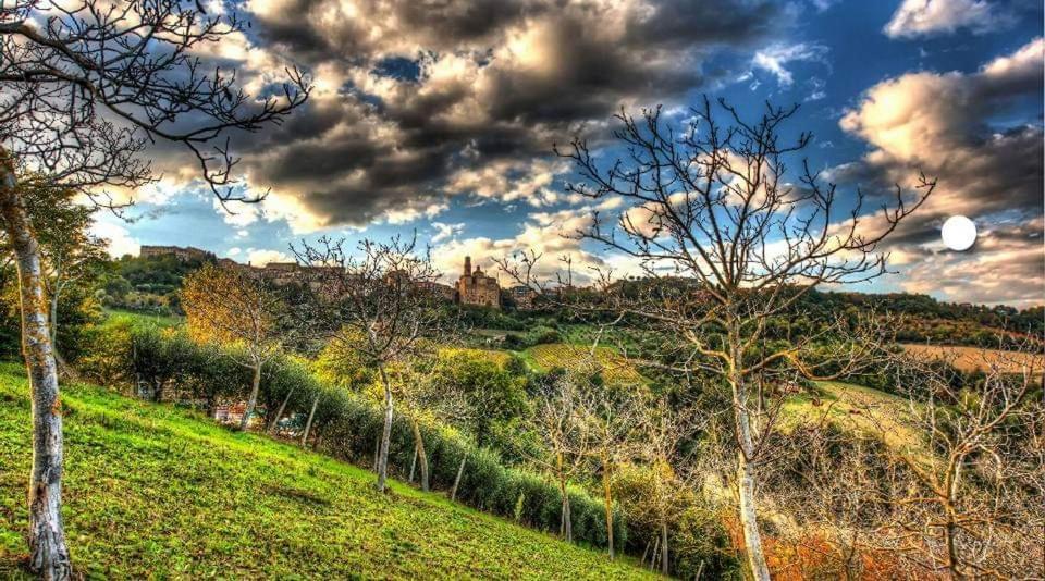 La Casa Del Duca Casa de hóspedes Montalto delle Marche Exterior foto